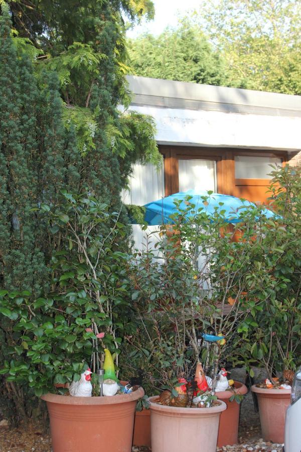 Ferienwohnung Fellnasen Wg Krefeld Exterior foto