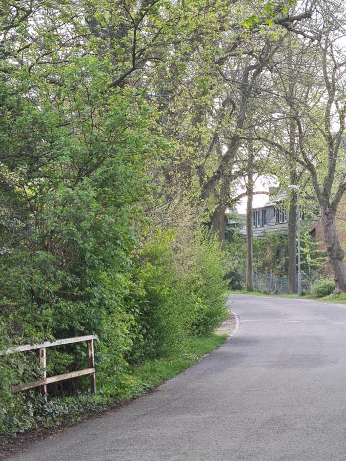 Ferienwohnung Fellnasen Wg Krefeld Exterior foto